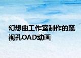 幻想曲工作室制作的窥视孔OAD动画