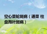 空心菜轮斑病（通菜 柱盘孢叶斑病）