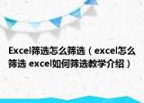 Excel筛选怎么筛选（excel怎么筛选 excel如何筛选教学介绍）