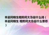 本是同根生相煎何太急是什么诗（本是同根生 相煎何太急是什么意思）