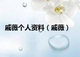 戚薇个人资料（戚薇）
