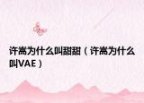 许嵩为什么叫甜甜（许嵩为什么叫VAE）