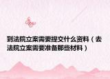 到法院立案需要提交什么资料（去法院立案需要准备那些材料）