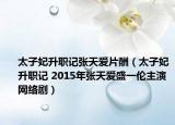太子妃升职记张天爱片酬（太子妃升职记 2015年张天爱盛一伦主演网络剧）