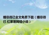 婚非得已全文免费下载（婚非得已 红家著网络小说）