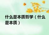 什么是本质哲学（什么是本质）