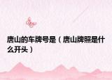 唐山的车牌号是（唐山牌照是什么开头）