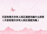 天若有情天亦老人间正道是沧桑什么意思（天若有情天亦老人间正道是沧桑）