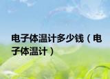 电子体温计多少钱（电子体温计）