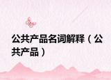 公共产品名词解释（公共产品）