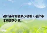 引产手术需要多少钱啊（引产手术需要多少钱）