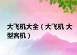 大飞机大全（大飞机 大型客机）