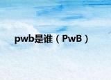 pwb是谁（PwB）