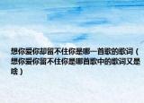 想你爱你却留不住你是哪一首歌的歌词（想你爱你留不住你是哪首歌中的歌词又是啥）