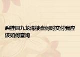 碧桂园九龙湾楼盘何时交付我应该如何查询