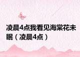 凌晨4点我看见海棠花未眠（凌晨4点）