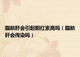 脂肪肝会引起胆红素高吗（脂肪肝会传染吗）