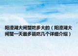 阳澄湖大闸蟹吃多大的（阳澄湖大闸蟹一天最多能吃几个详细介绍）