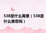 538是什么寓意（538是什么意思吗）