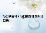 马口铁百科（马口铁为什么叫马口铁）