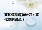 文化体制改革研究（文化体制改革）