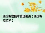 西瓜栽培技术管理要点（西瓜栽培技术）