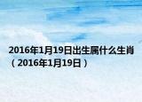 2016年1月19日出生属什么生肖（2016年1月19日）
