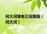 何大河猪老三完整版（何大河）
