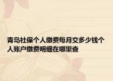 青岛社保个人缴费每月交多少钱个人账户缴费明细在哪里查