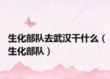 生化部队去武汉干什么（生化部队）