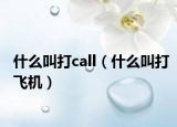 什么叫打call（什么叫打飞机）