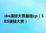 sbs演技大赏最佳cp（SBS演技大赏）
