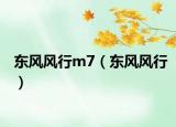 东风风行m7（东风风行）