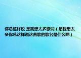 你总这样说 是我想太多歌词（是我想太多你总这样说这首歌的歌名是什么呢）