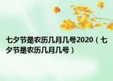 七夕节是农历几月几号2020（七夕节是农历几月几号）