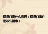 铜须门是什么意思（铜须门事件是怎么回事）