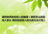微信如何拍拍别人的脑袋（微信怎么拍拍别人的头 微信拍拍别人的头的方法介绍）