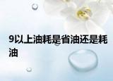 9以上油耗是省油还是耗油