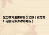紫苏艾叶泡脚有什么功效（紫苏艾叶泡脚用多少详细介绍）
