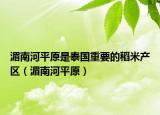 湄南河平原是泰国重要的稻米产区（湄南河平原）