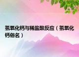 氢氧化钙与稀盐酸反应（氢氧化钙俗名）