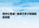 青中心青浦一套房子多少钱谁能告诉我