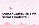 沙糖桔上火还是大橘子上火（沙糖桔上火还是去火详细介绍）