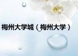 梅州大学城（梅州大学）