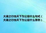 大道之行也天下为公是什么句式（大道之行也天下为公是什么意思）
