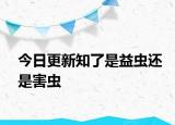 今日更新知了是益虫还是害虫