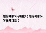 如何判断怀孕胎停（如何判断怀孕胎儿性别）