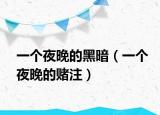 一个夜晚的黑暗（一个夜晚的赌注）