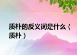 质朴的反义词是什么（质朴）