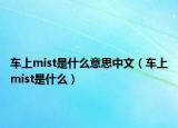 车上mist是什么意思中文（车上mist是什么）